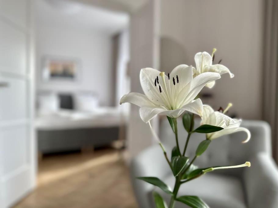 Premium Apartment By Hi - Central 2 Bedroom - Best View Budapeşte Dış mekan fotoğraf